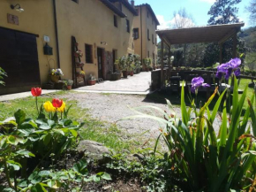 A Casa Del Tosi Lucca